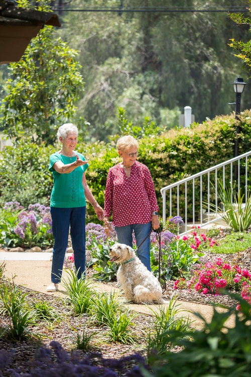 Plymouth Village named best senior living community in Redlands